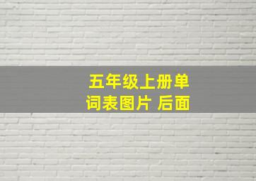 五年级上册单词表图片 后面